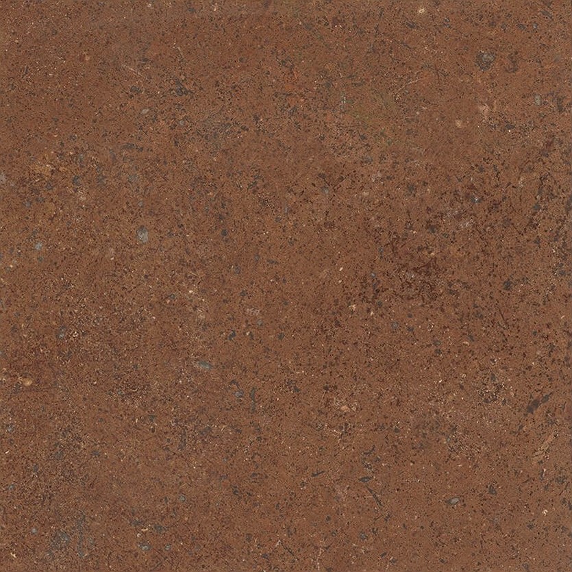 Medi Romance Clay Bloom Series · mã TT300-M66 — gạch 300 × 300 mm