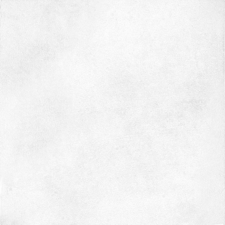 The Art of Tile Coral · mã F13201 — gạch 128 × 128 mm