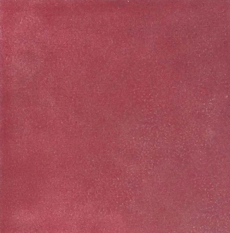 The Art of Tile Coral · mã F13204 — gạch 128 × 128 mm