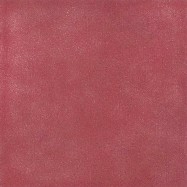The Art of Tile Coral — gạch 62 × 192 mm