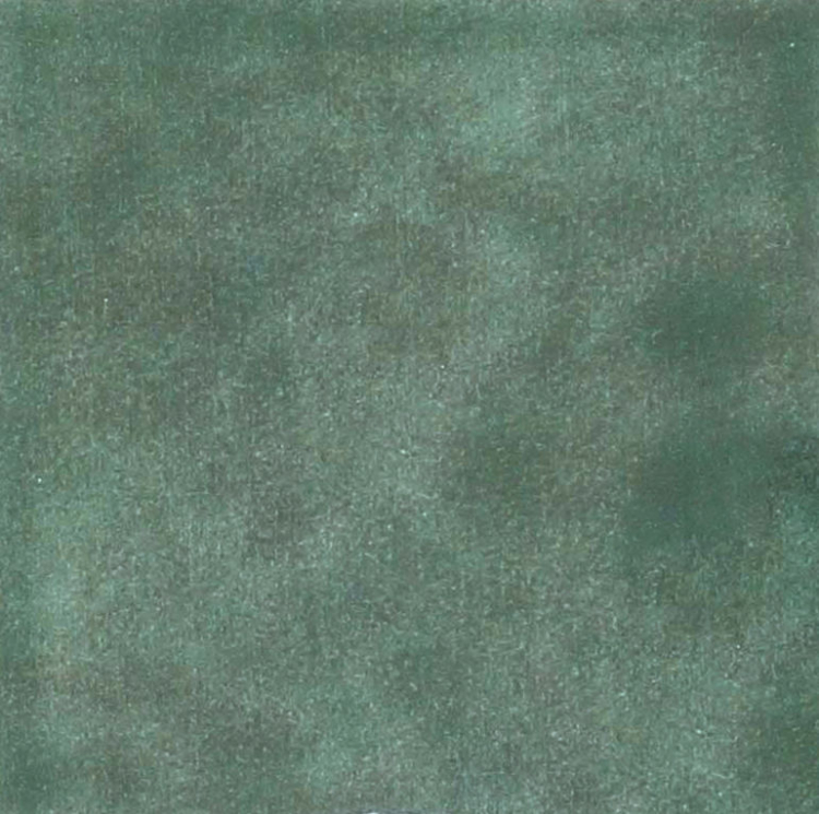 The Art of Tile Coral · mã F13205 — gạch 128 × 128 mm