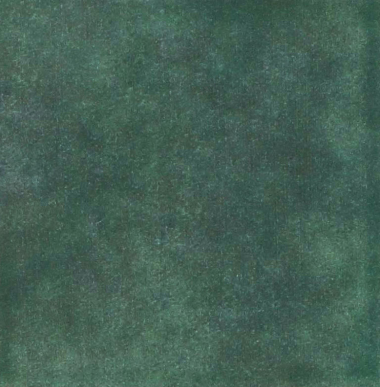 The Art of Tile Coral — gạch 62 × 192 mm
