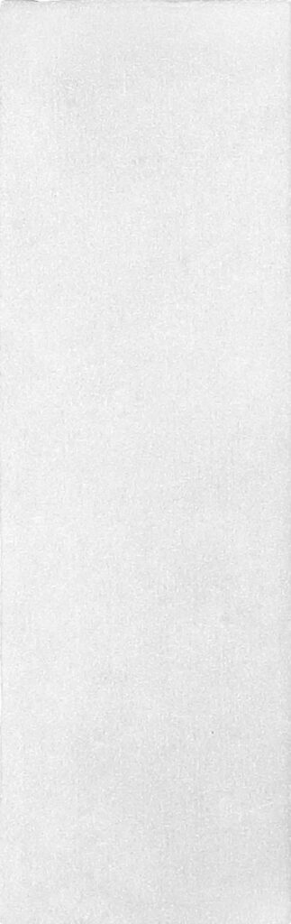 The Art of Tile Coral · mã F652001A — gạch 62 × 192 mm