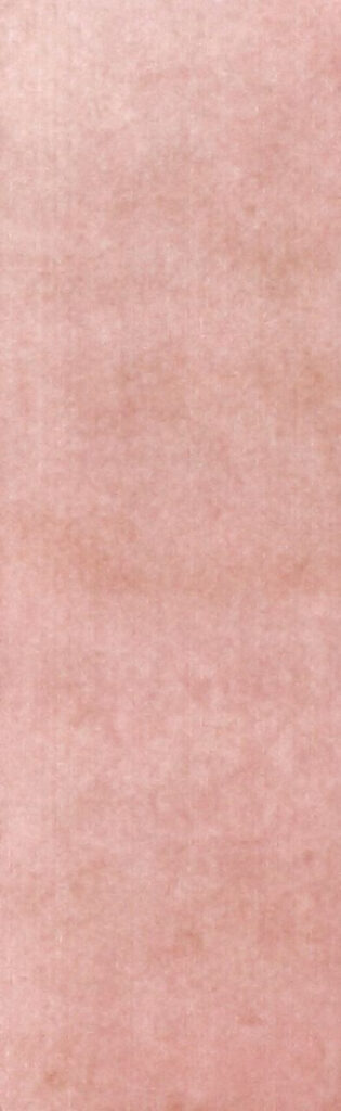 The Art of Tile Coral · mã F652003A — gạch 62 × 192 mm