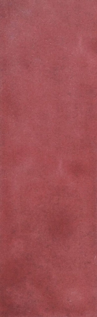 The Art of Tile Coral · mã F652004A — gạch 62 × 192 mm
