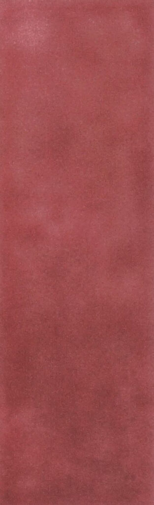 The Art of Tile Coral — gạch 62 × 192 mm