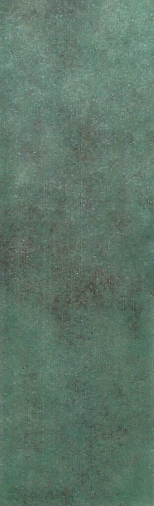 The Art of Tile Coral · mã F652005A — gạch 62 × 192 mm