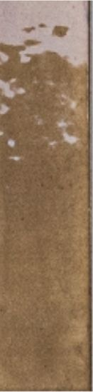 The Art of Tile Collect light — gạch 57 × 239 mm