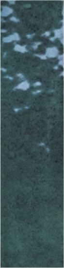 The Art of Tile Collect light · mã FH576 — gạch 57 × 239 mm