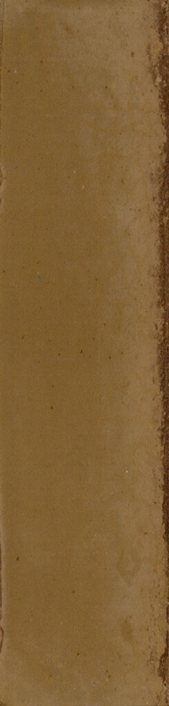 The Art of Tile Collect light · mã FY5713 — gạch 57 × 239 mm