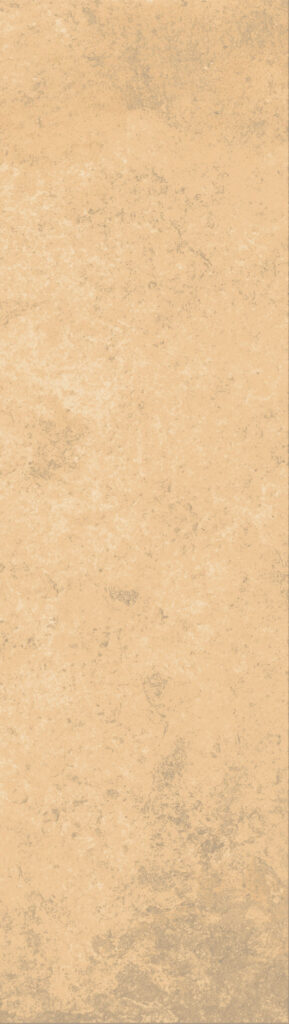 The Art of Tile Imprint of times 2.0 — gạch 73 × 300 mm