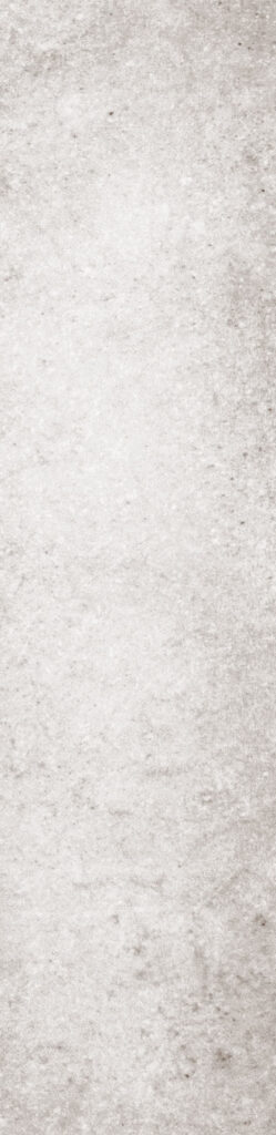 The Art of Tile Imprint of times 2.0 — gạch 73 × 300 mm