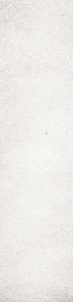 The Art of Tile Imprint of times 2.0 · mã FY751 — gạch 73 × 300 mm