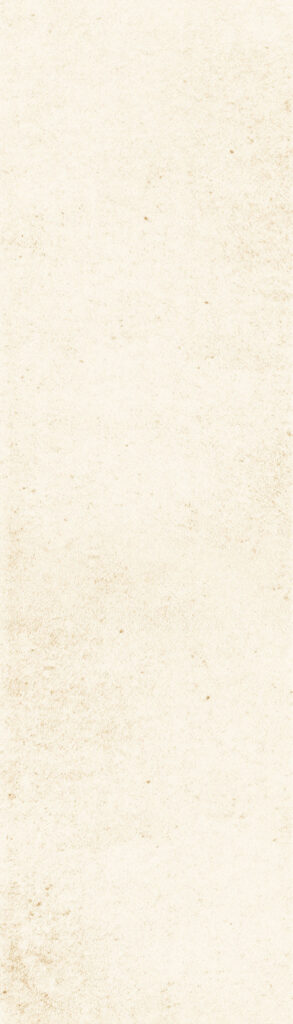 The Art of Tile Imprint of times 2.0 — gạch 73 × 300 mm
