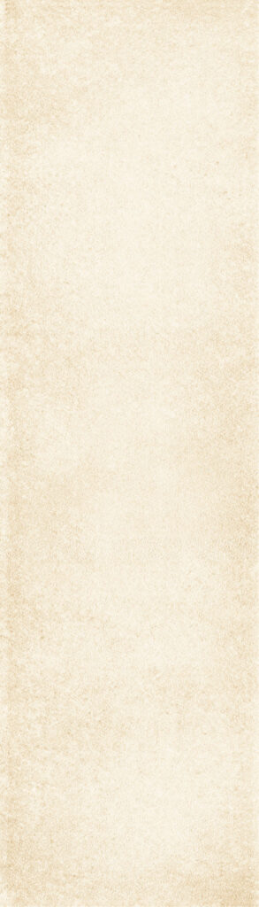 The Art of Tile Imprint of times 2.0 · mã FY752 — gạch 73 × 300 mm