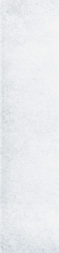 The Art of Tile Imprint of times 2.0 — gạch 73 × 300 mm
