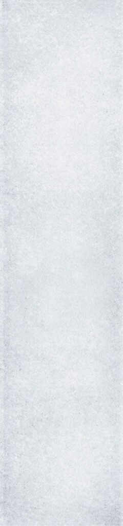 The Art of Tile Imprint of times 2.0 · mã FY753 — gạch 73 × 300 mm