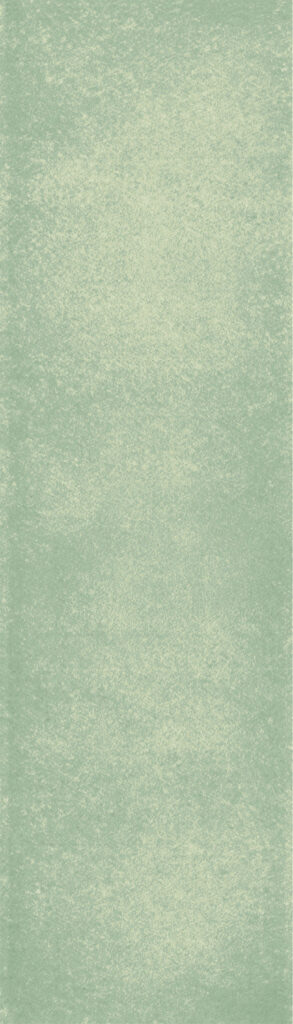 The Art of Tile Imprint of times 2.0 · mã FY757 — gạch 73 × 300 mm