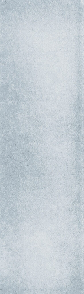 The Art of Tile Imprint of times 2.0 · mã FY758 — gạch 73 × 300 mm