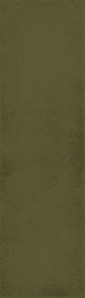 The Art of Tile Imprint of times 2.0 — gạch 73 × 300 mm