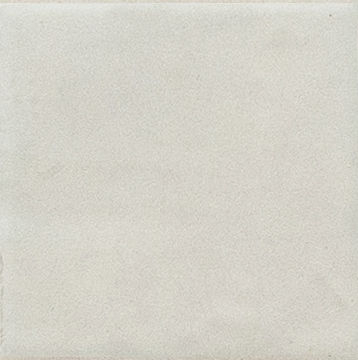 Costa Blanca Spectrum 1.0 · mã FY1002 — gạch 100 × 100 mm