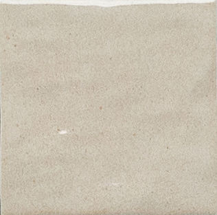 Costa Blanca Spectrum 1.0 · mã FG1013 — gạch 100 × 100 mm