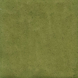 Costa Blanca Spectrum 1.0 · mã FG1016 — gạch 100 × 100 mm