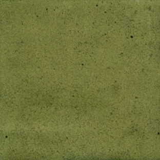 Costa Blanca Spectrum 1.0 — gạch 100 × 100 mm