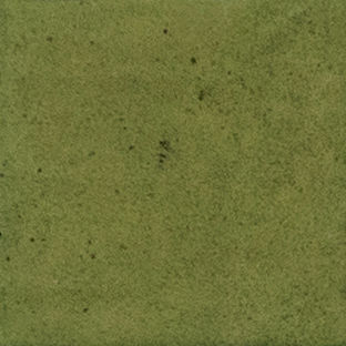 Costa Blanca Spectrum 1.0 — gạch 100 × 100 mm