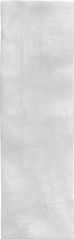 Costa Blanca Pearl — gạch 65 × 200 mm