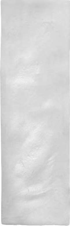 Costa Blanca Pearl — gạch 65 × 200 mm