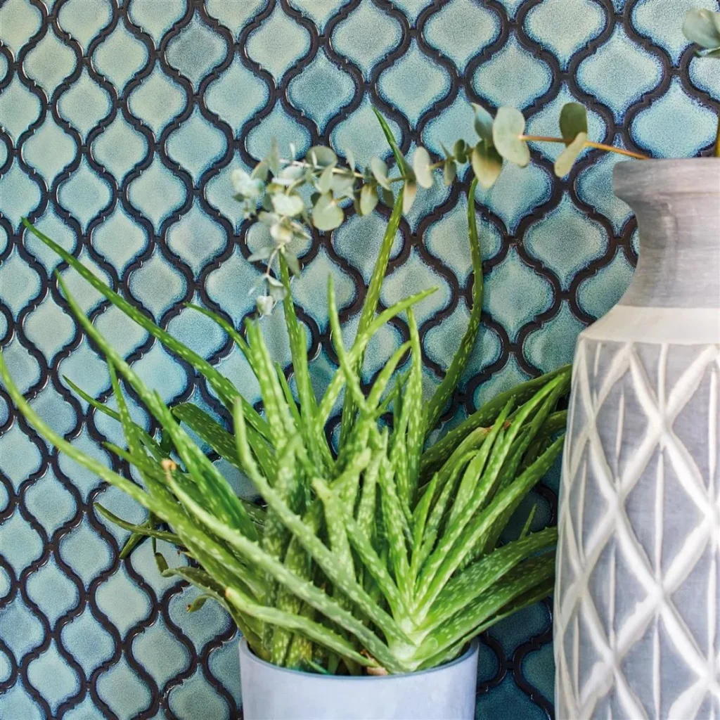 Mosaic Collection
