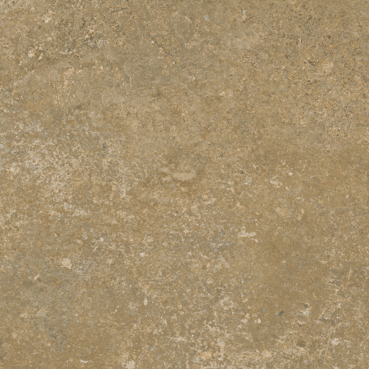 The Art of Tile Originality 6.0 · mã F2065 — gạch 200x200 mm